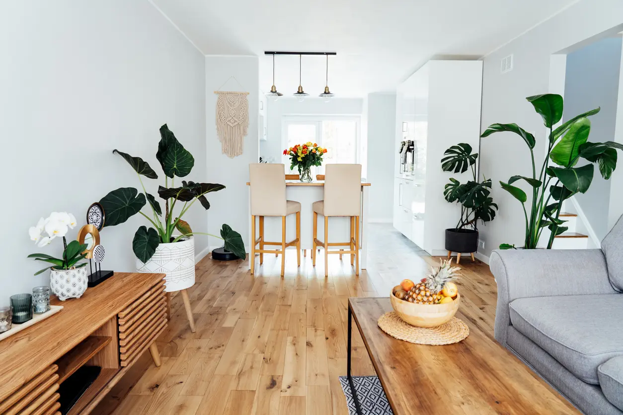 Un appartement bien rangé parfait pour un achat LMNP